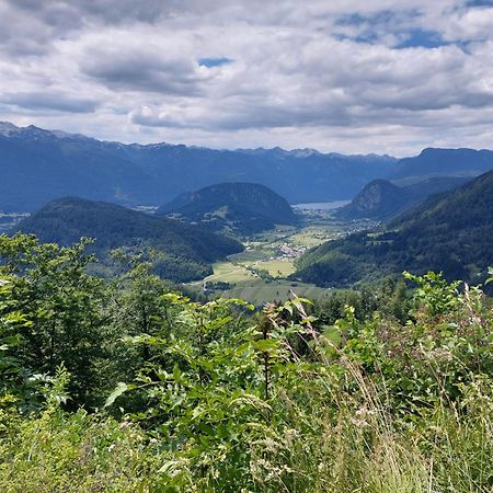 Apartmaji Vesna Bohinj Esterno foto