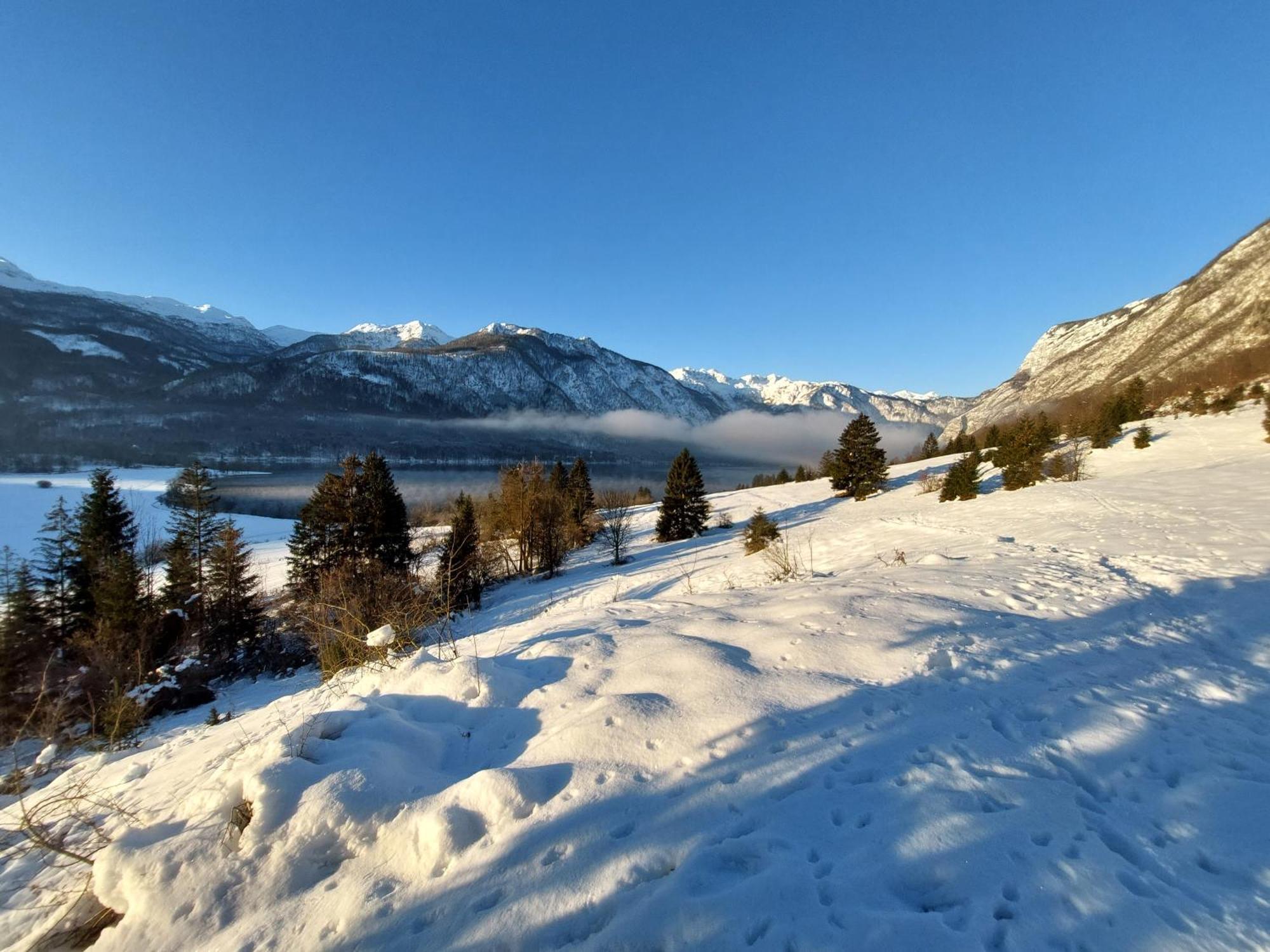 Apartmaji Vesna Bohinj Esterno foto