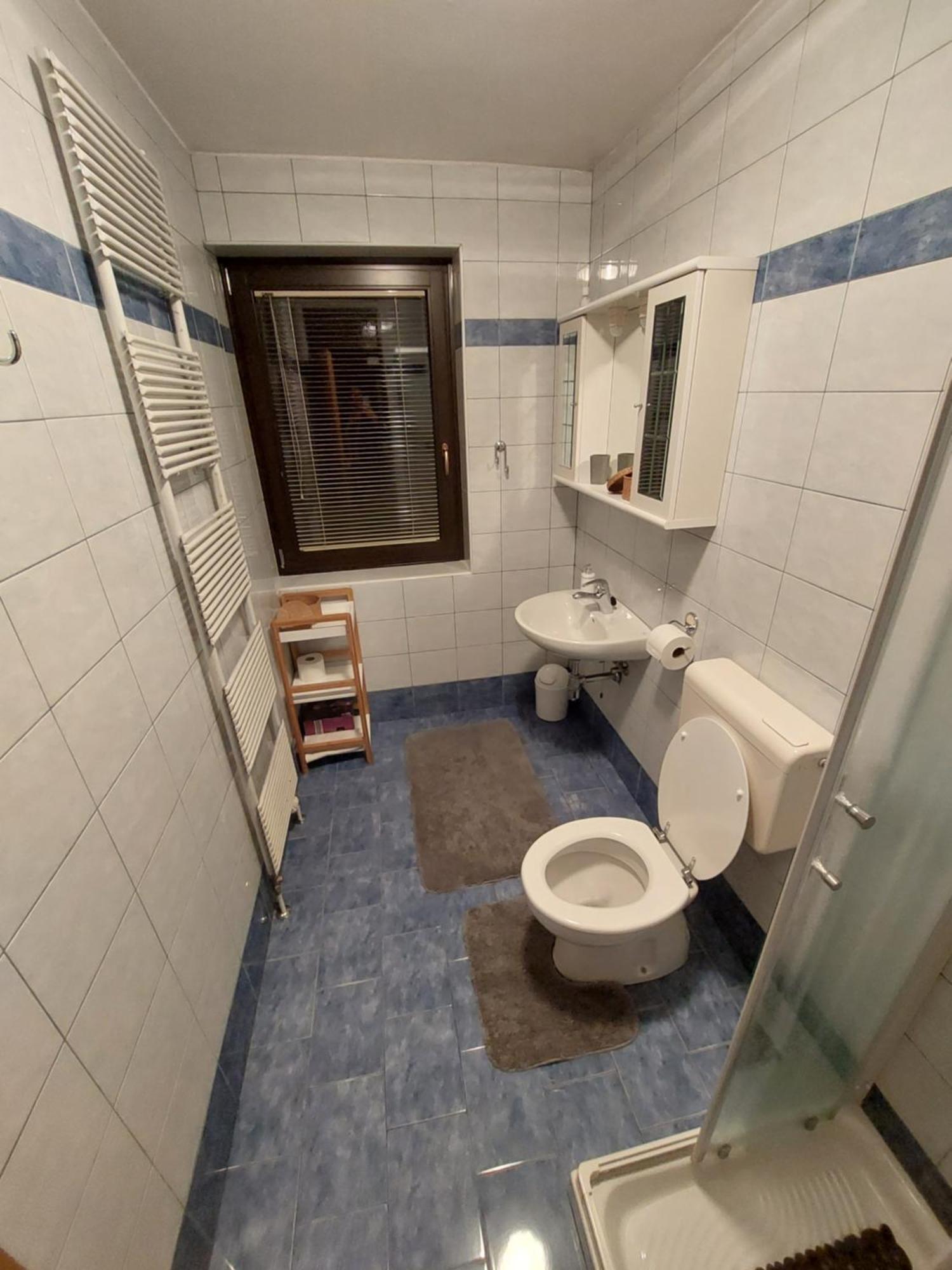 Apartmaji Vesna Bohinj Camera foto