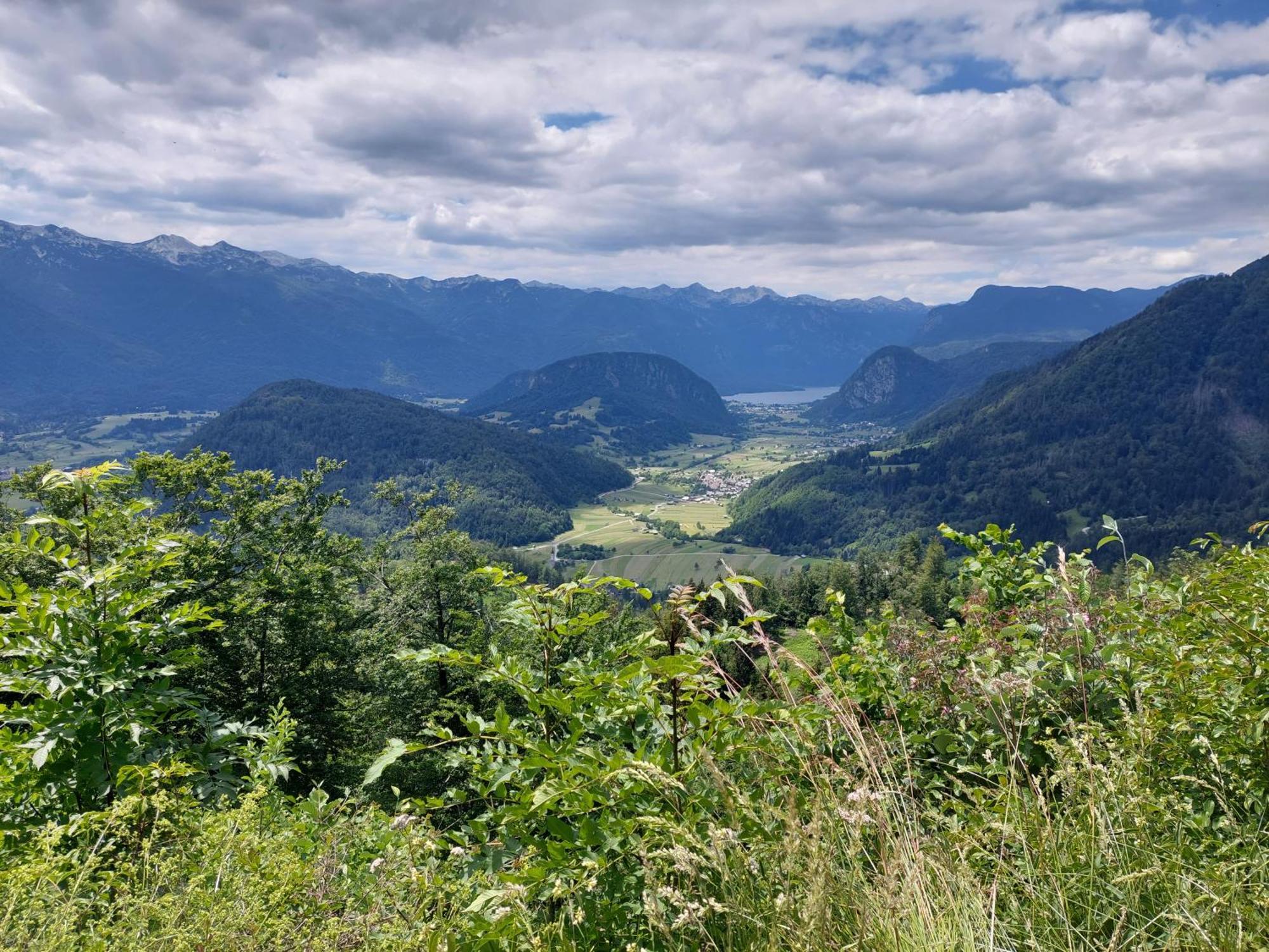 Apartmaji Vesna Bohinj Esterno foto