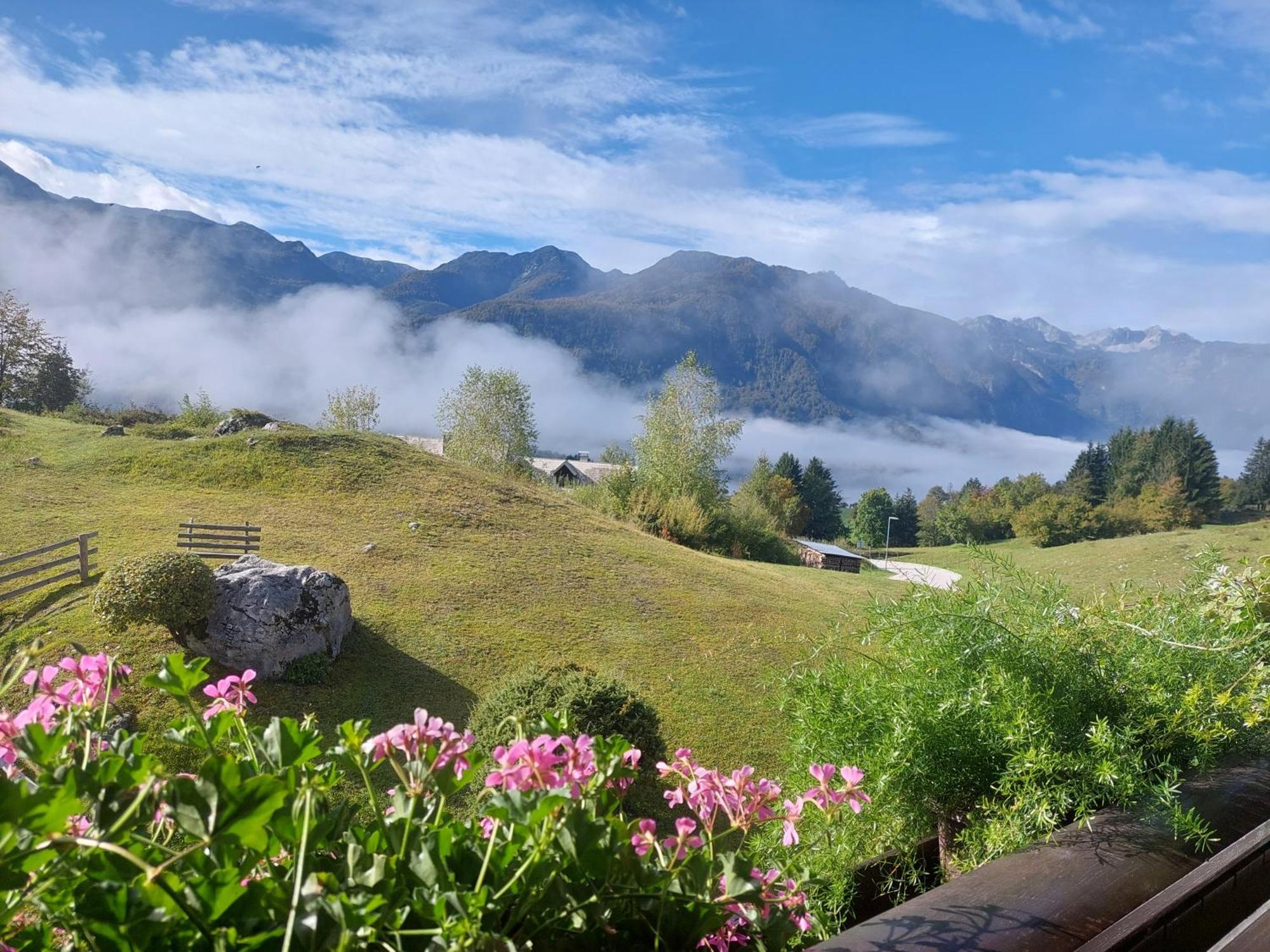 Apartmaji Vesna Bohinj Esterno foto