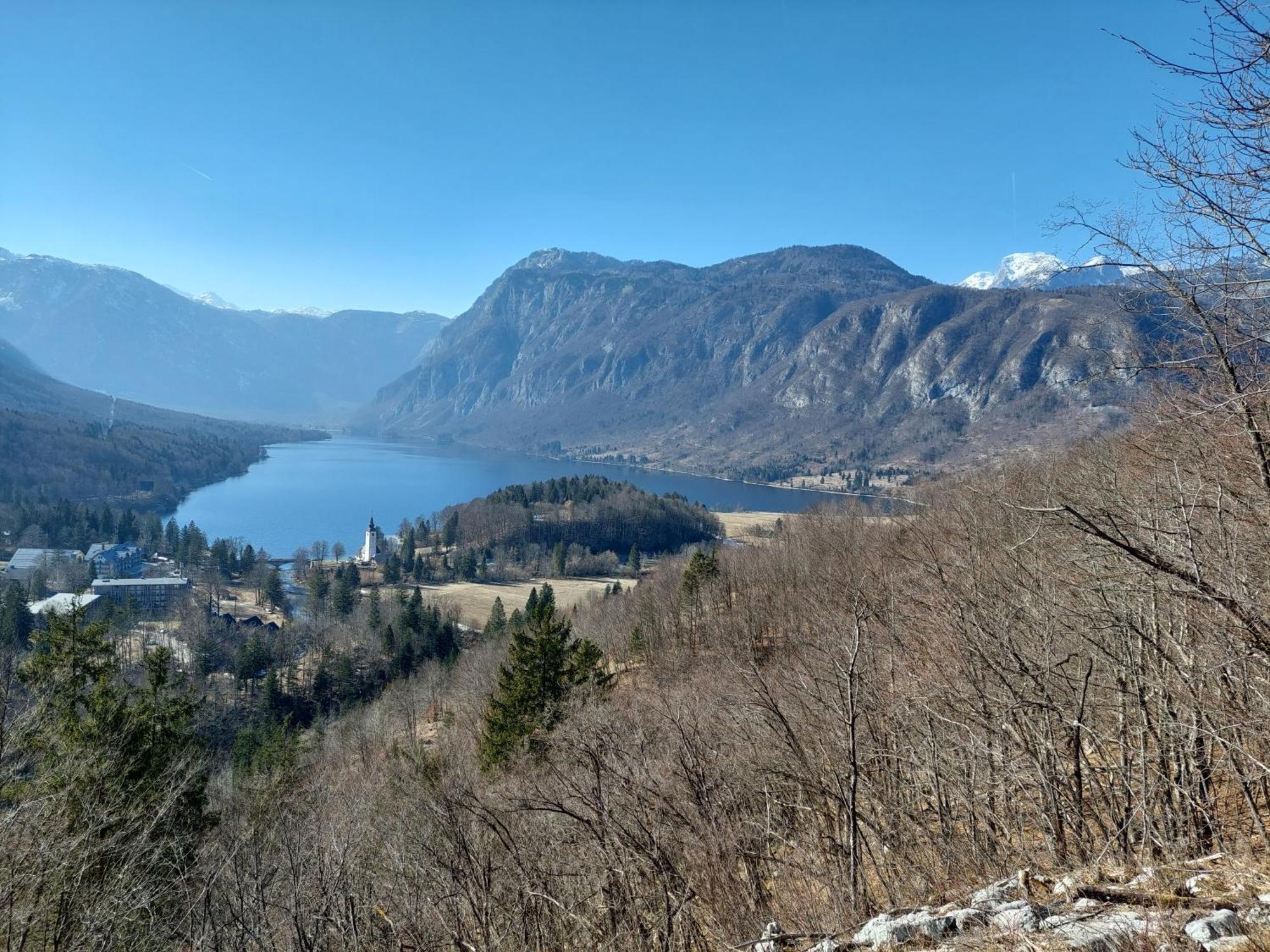 Apartmaji Vesna Bohinj Esterno foto